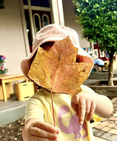 A child wearing a pink hat holds up a large autumn leaf in front of their face, obscuring it, while standing outside near a tree and some benches.